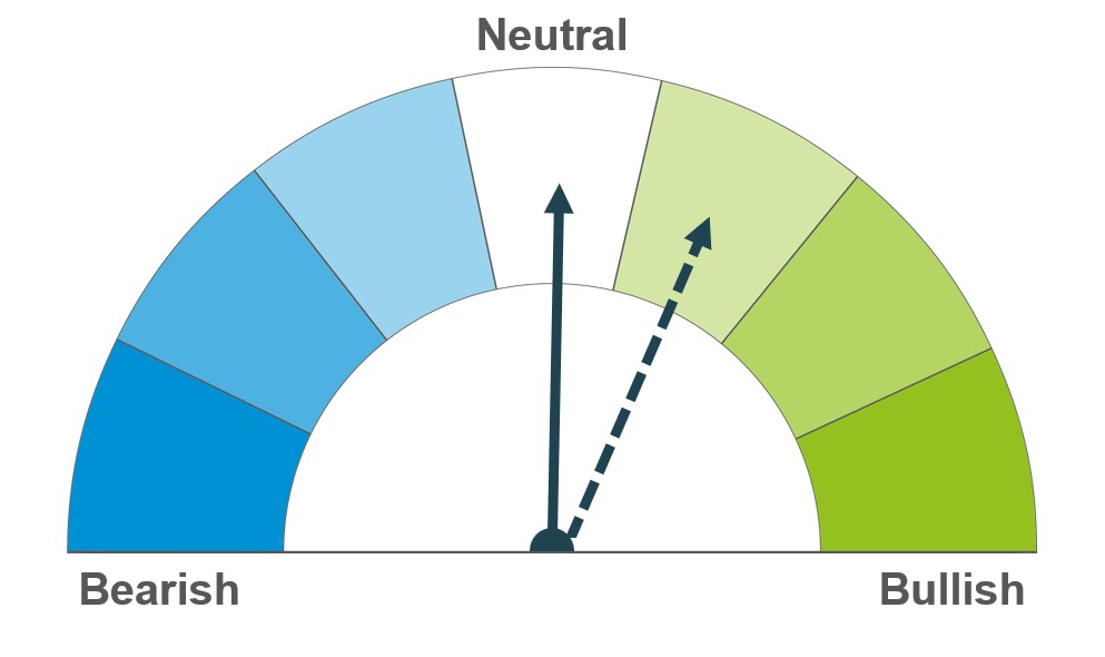 Maize dial ST neutral LT mildly bullish 03 02 2025 